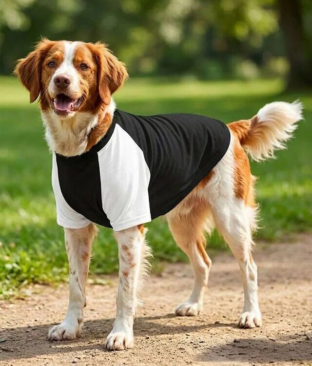 Portman & Pooch Dog's Raglan T-Shirt