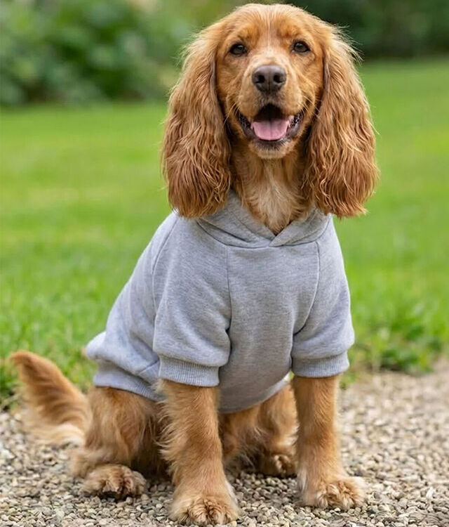 Portman & Pooch Dog's Hoodie